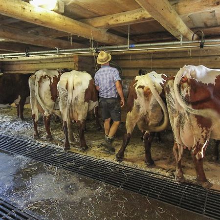 Ferienhof Pfefferbauer Saalbach-Hinterglemm Ngoại thất bức ảnh