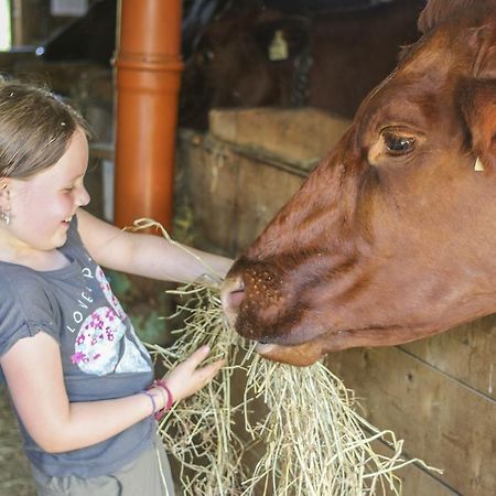 Ferienhof Pfefferbauer Saalbach-Hinterglemm Ngoại thất bức ảnh