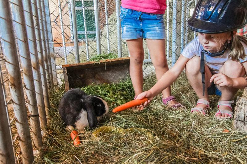 Ferienhof Pfefferbauer Saalbach-Hinterglemm Ngoại thất bức ảnh